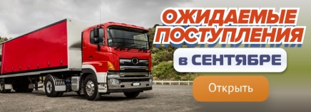 Новое поступление №228